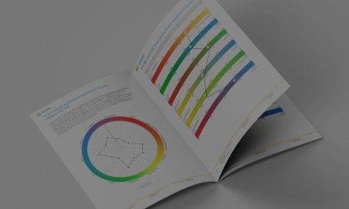 Behavioural Assessments Behavioural Assessments